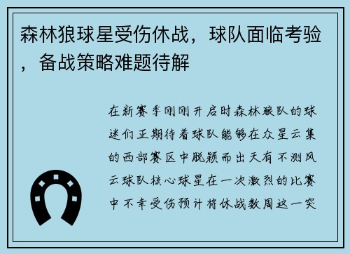森林狼球星受伤休战，球队面临考验，备战策略难题待解