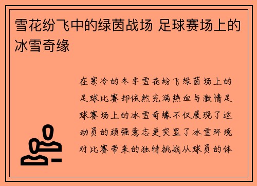 雪花纷飞中的绿茵战场 足球赛场上的冰雪奇缘