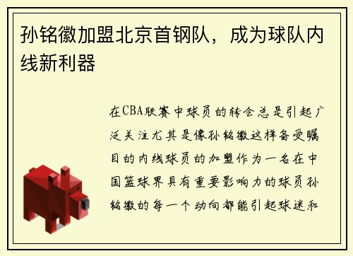 孙铭徽加盟北京首钢队，成为球队内线新利器