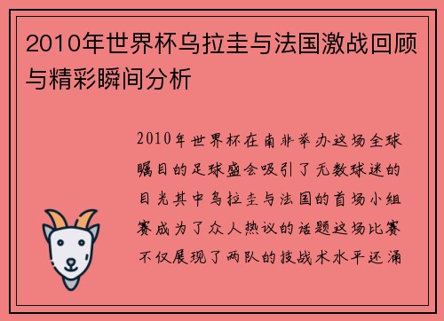 2010年世界杯乌拉圭与法国激战回顾与精彩瞬间分析